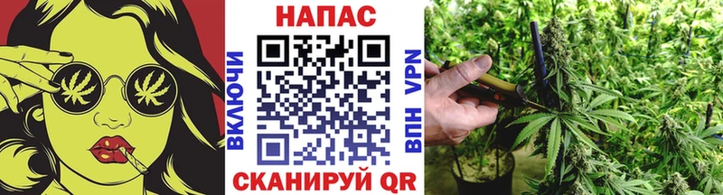 Конопля AK-47 Глазов